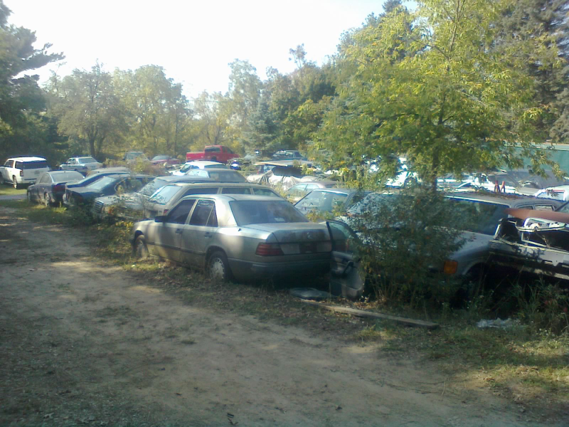 Illustration for article titled I Visited That Must-Sell Car Collection